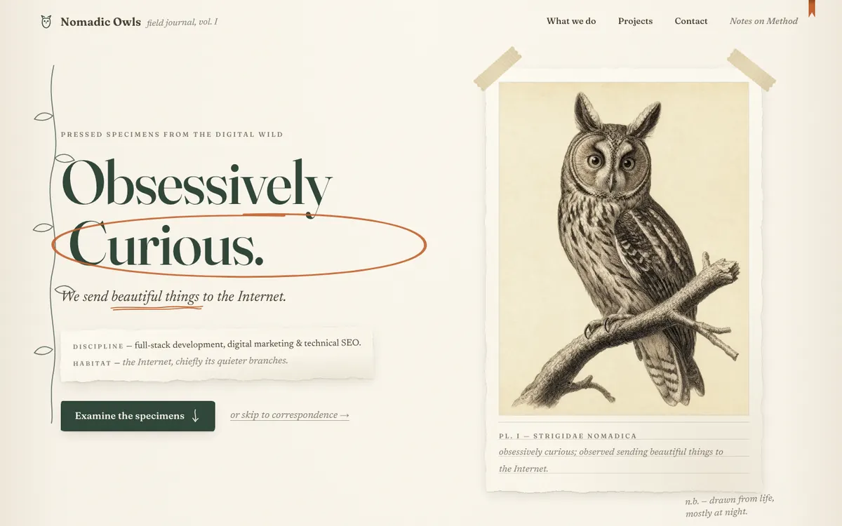 HERBARIUM — pressed botanical specimen hero with copperplate owl engraving on cream